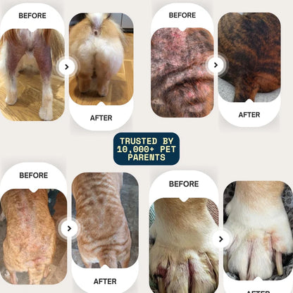 Vet-backed skin relief spray