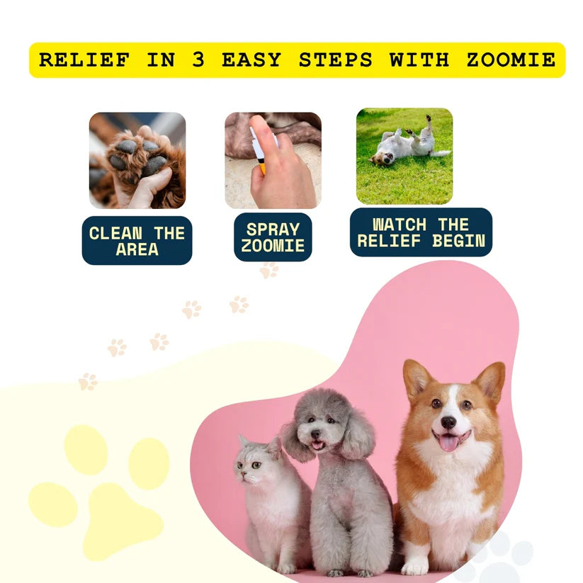Vet-backed skin relief spray