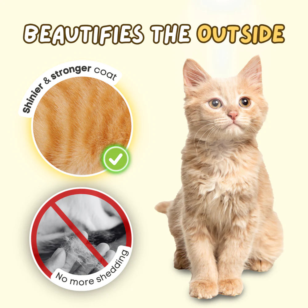Vet- backed Creamy Fish Oil Pump