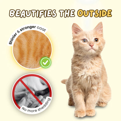 Vet- backed Creamy Fish Oil Pump